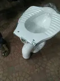 anglo_indian_toilet_seat7[1]-1288025-42380.webp